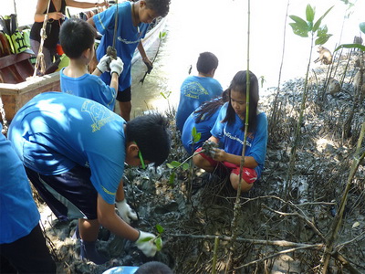 Mangrove Forest Planting Sattahip Chonburi - กิจกรรม ปลูกป่าชายเลน, สัตหีบ, จ. ชลบุรี