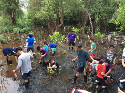 Mangrove Forest Planting Sattahip Chonburi - กิจกรรม ปลูกป่าชายเลน, สัตหีบ, จ. ชลบุรี